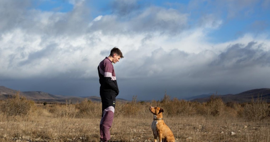 actualité Chien de la casse